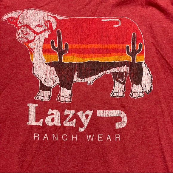Lazy J Ranch Wear Sunrise Cactus Bull T-shirt M - Picture 3 of 6